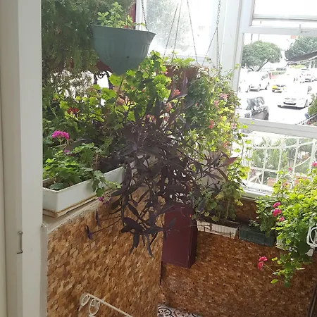 Yesilkoey Airport Ξενοδοχείο Κωνσταντινούπολη