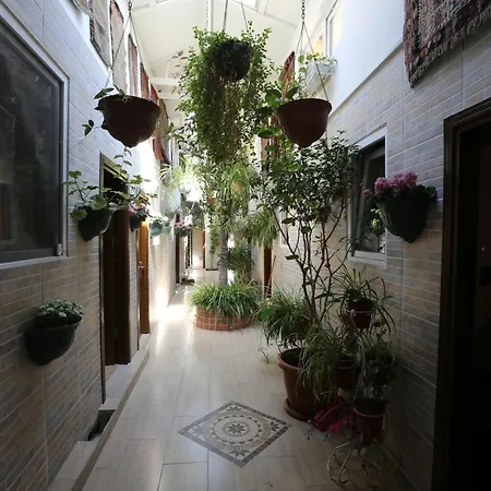 酒店 耶西勒廓伊机场酒店