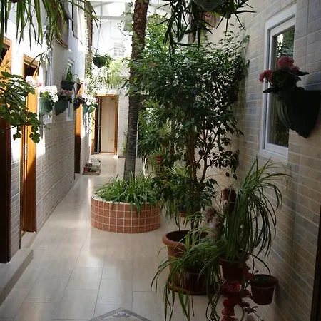 酒店 耶西勒廓伊机场酒店 3*