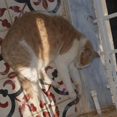 Yesilkoey Airport Hotel