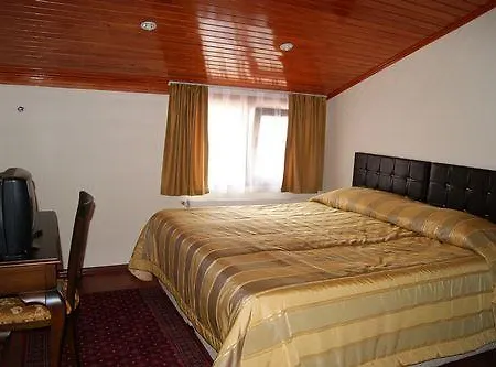 Hotel Yesilkoey Airport