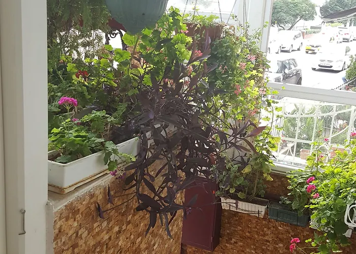 Yesilkoey Airport Hotel Istanbulská provincie