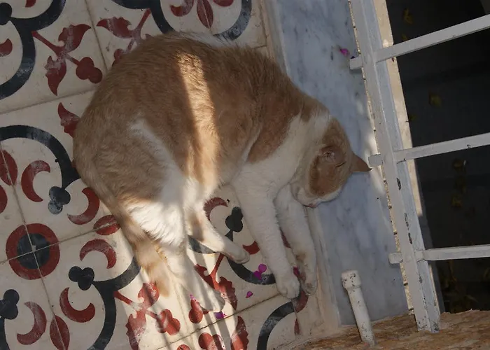 Yesilkoey Airport Hotel